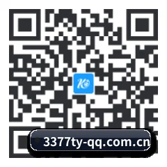 安卓掌上数据终端 二维码